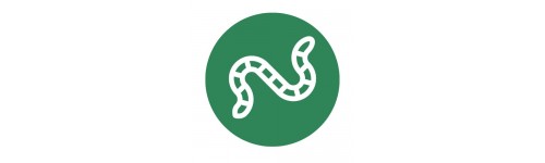 Orugas de huerta y ornamentales