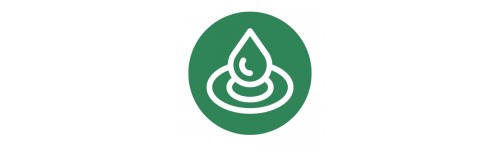 Mojante