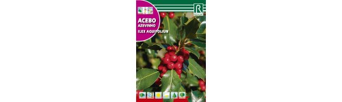 Semilla arboles, arbustos y palmaceas
