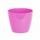 Pour les cactus (plastique)
