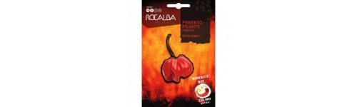 Semillas pimiento picante