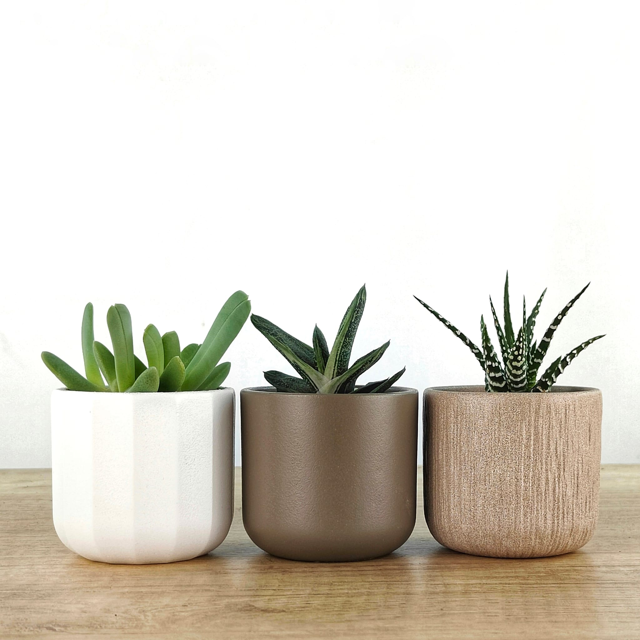 Voulez-vous ajouter un pot? Céramique Premium