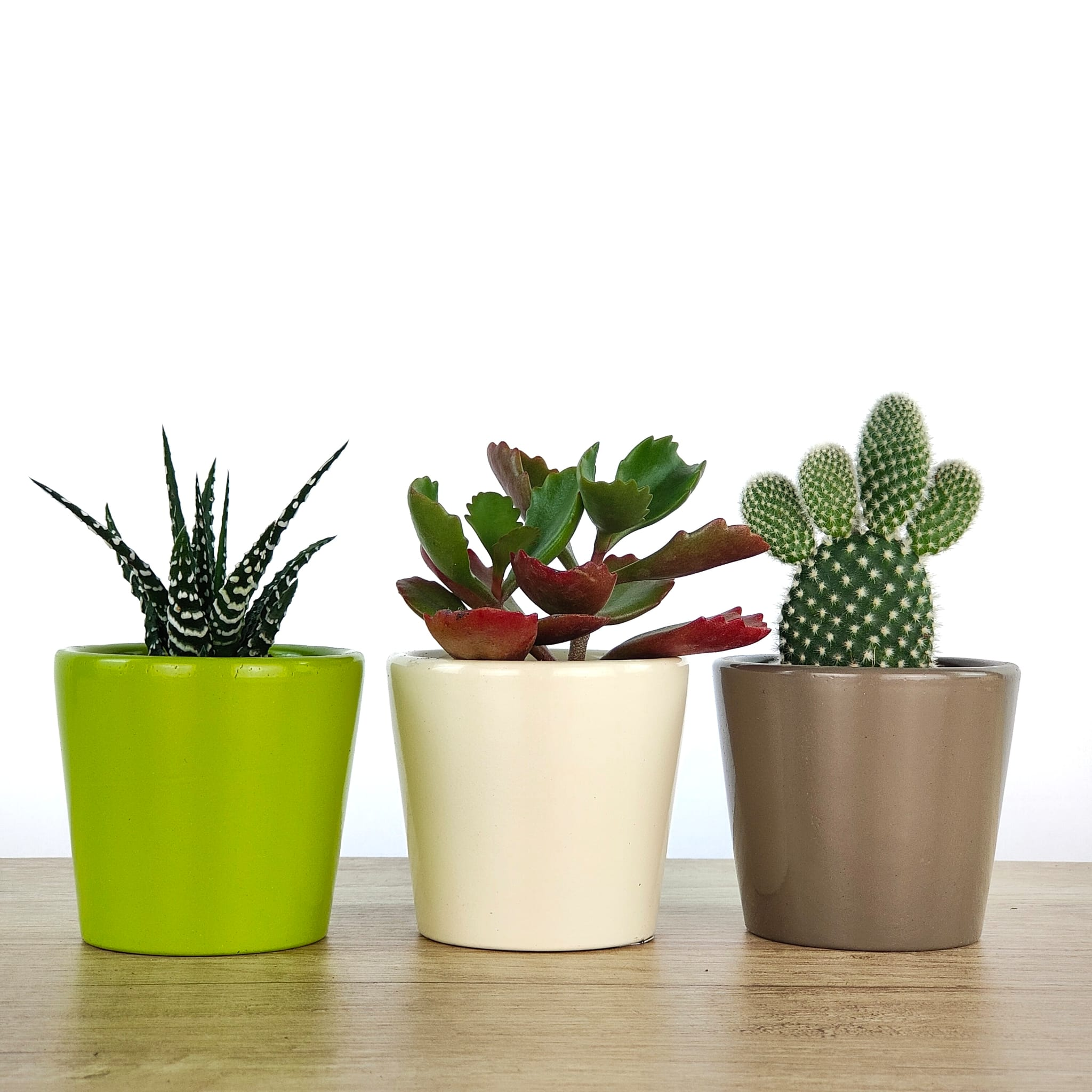 Voulez-vous ajouter un pot? Céramique brillante