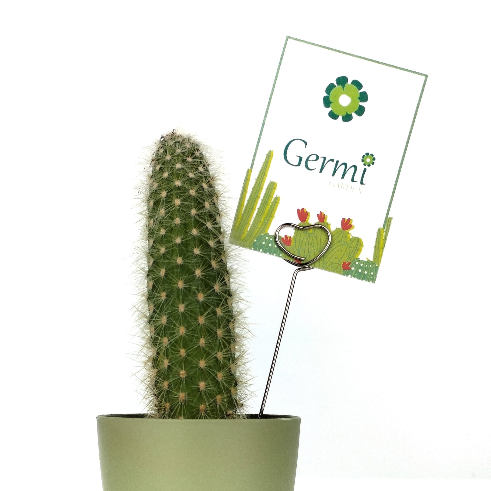 Voleu afegir alguna decoraci&oacute; especial amb text? Punx&oacute; en forma de cor