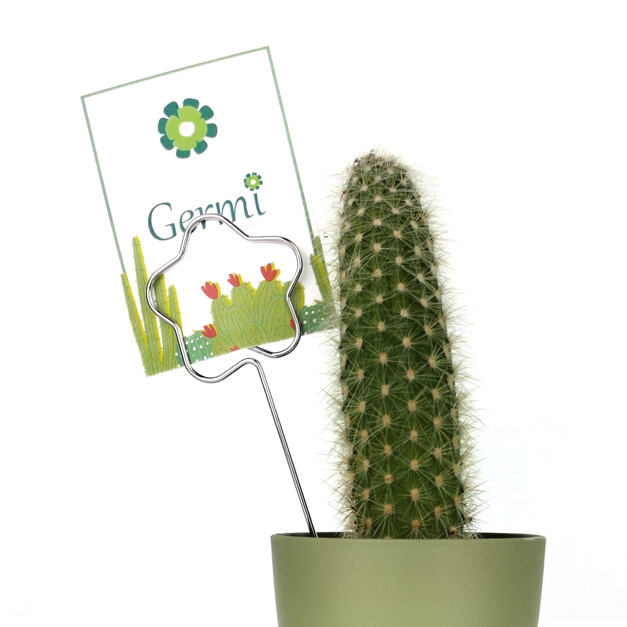 Voleu afegir alguna decoraci&oacute; especial amb text? Punx&oacute; en forma de flor